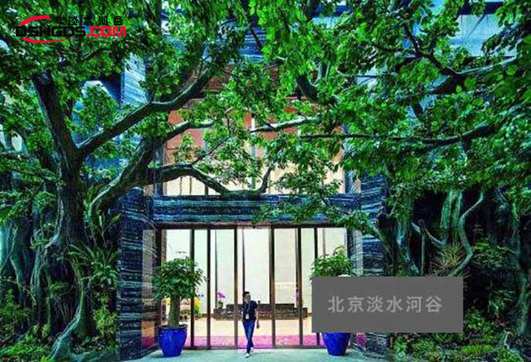 室外假樹(shù).jpg 室外假樹(shù)