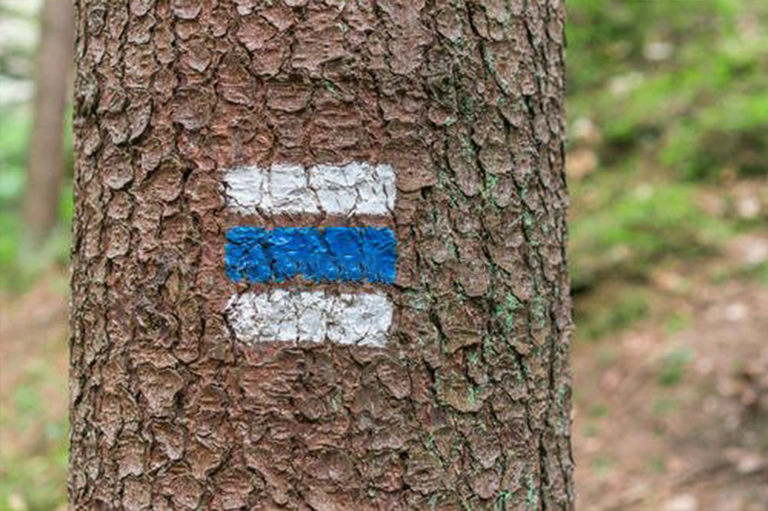 樹木標(biāo)志