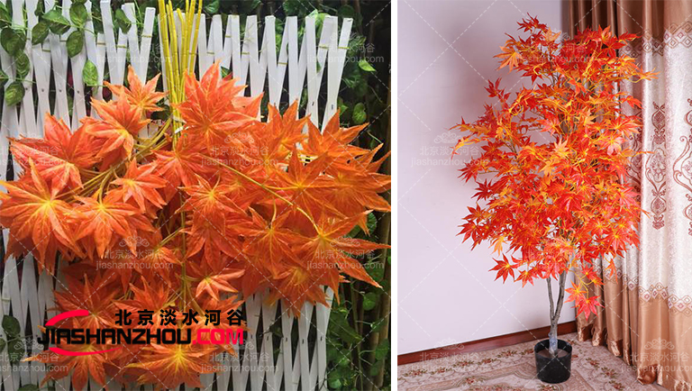 仿真樹.jpg 仿真樹