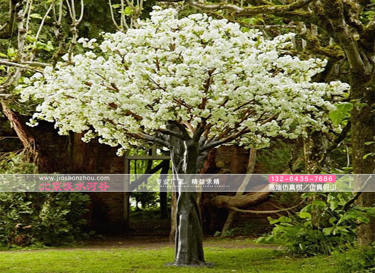 仿真樹.jpg 仿真樹