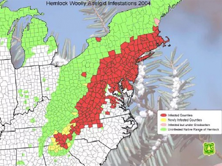 HWA感染地圖.jpg HWA感染地圖