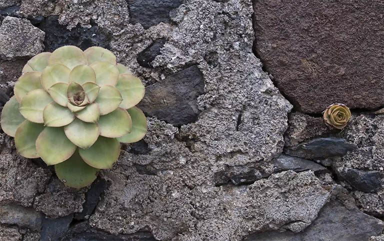 千層石景觀.jpg 千層石景觀