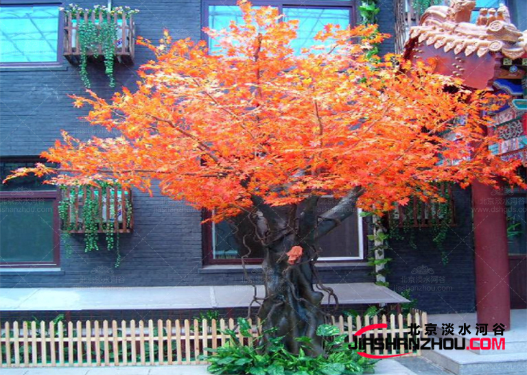 仿真樹.jpg 仿真樹