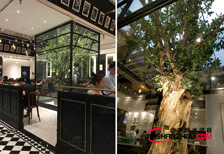 仿真樹.jpg 仿真樹