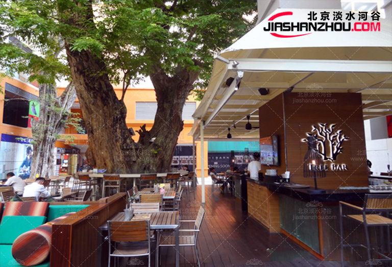 仿真樹.jpg 仿真樹