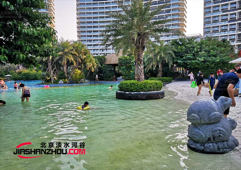 仿真樹.jpg 仿真樹