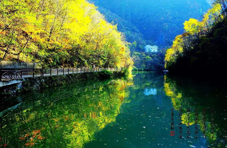 溫帶森林生態系統.jpg 溫帶森林生態系統