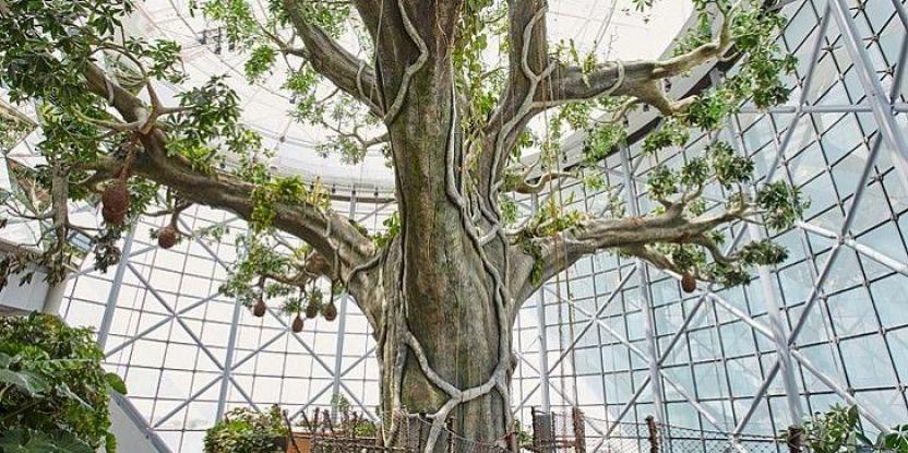 仿真樹滕管.jpg 仿真樹滕管