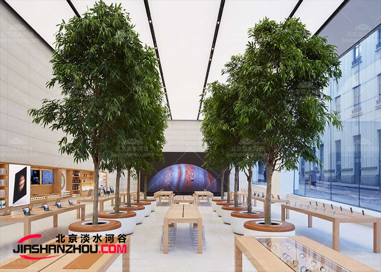 仿真樹.jpg 仿真樹