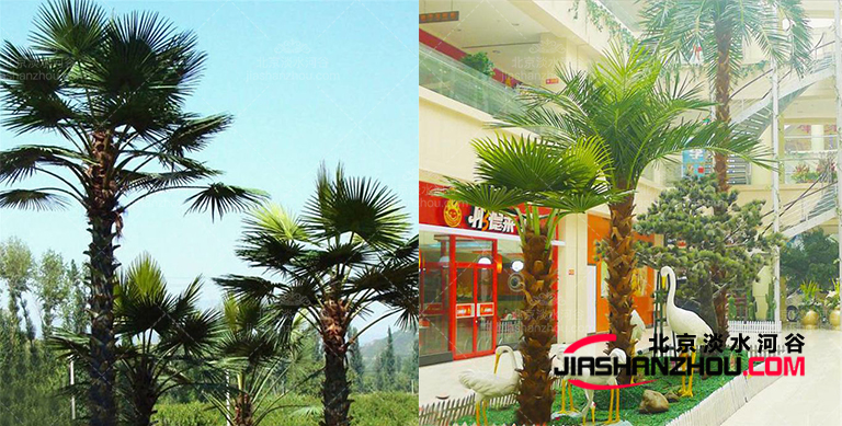 仿真樹.jpg 仿真樹