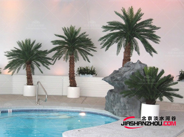 仿真樹(shù).jpg 仿真樹(shù)