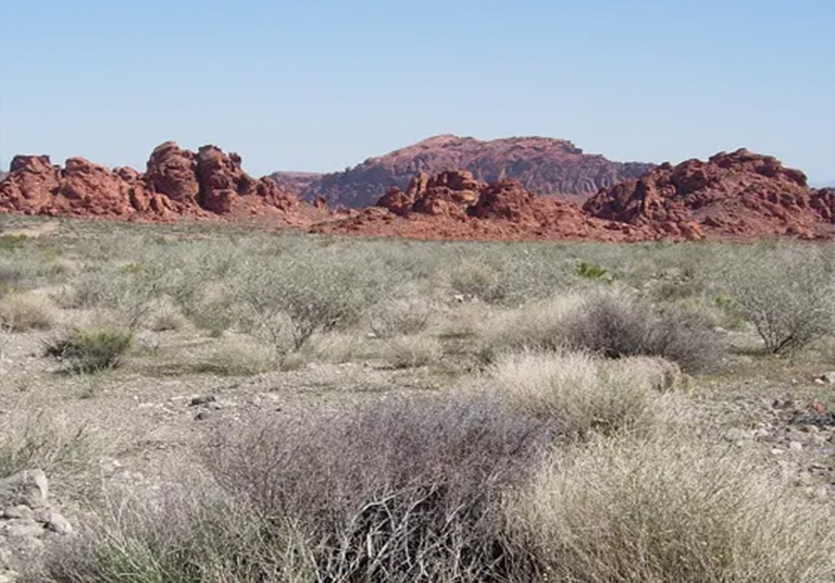 可喜的景象.jpg 可喜的景象