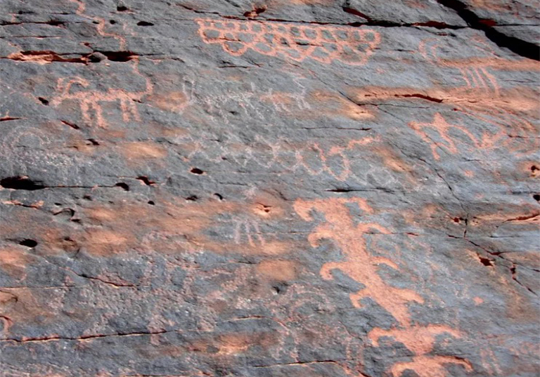 1595907437674237.jpg 5.jpg