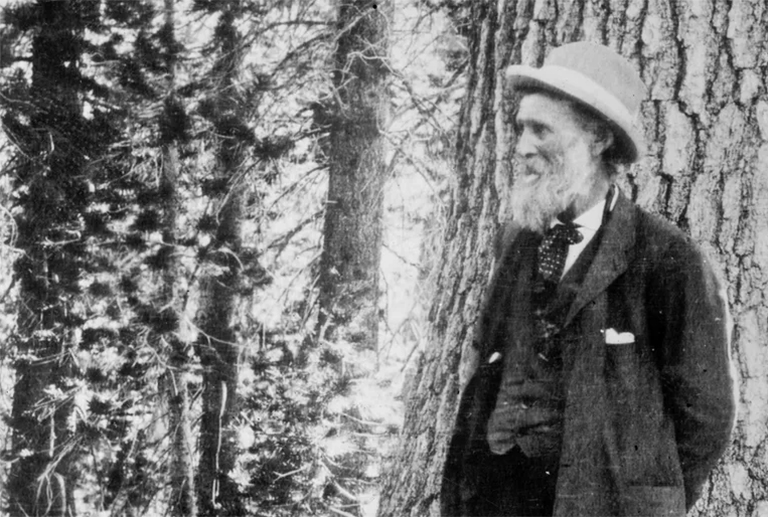 約翰·繆爾(John Muir).jpg 約翰·繆爾(John Muir)
