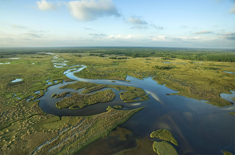 佛羅里達(dá)大沼澤地的鳥(niǎo)瞰圖