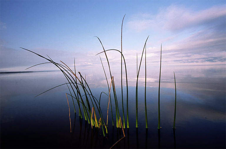 明尼蘇達州北部紅湖上游，夏末