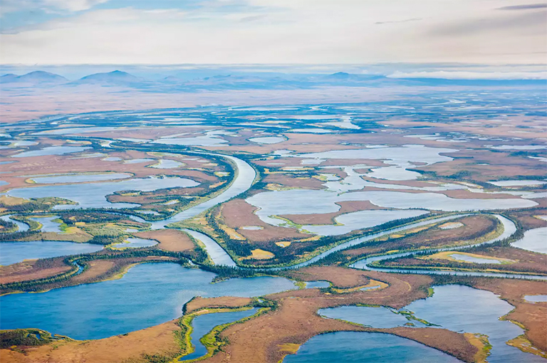 阿拉斯加塞拉維克國家野生動物保護區