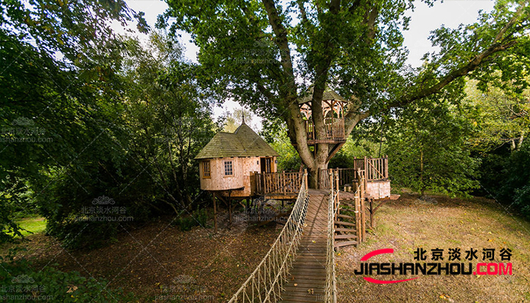 仿真樹.jpg 仿真樹