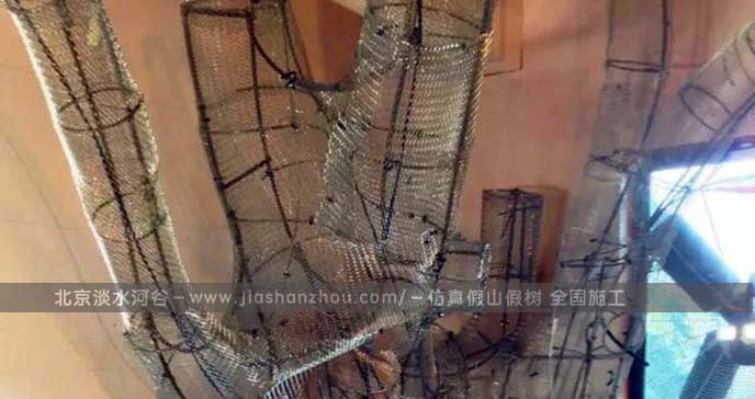 室內裝修大樹的圖片.jpg 室內裝修大樹的圖片