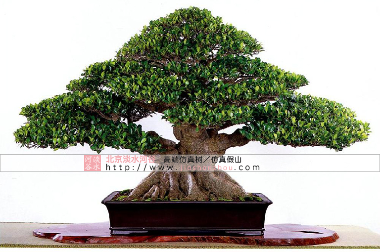 仿真樹.jpg 仿真樹