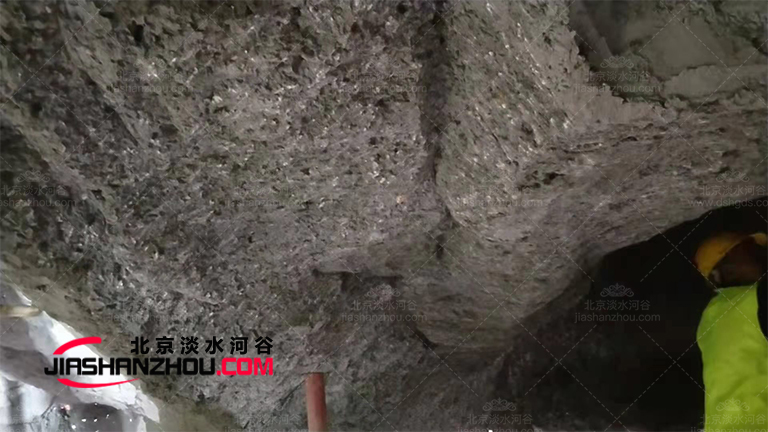 生態(tài)洞穴餐廳.jpg 生態(tài)洞穴餐廳