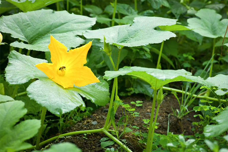 1609387194801908.jpg 2.jpg