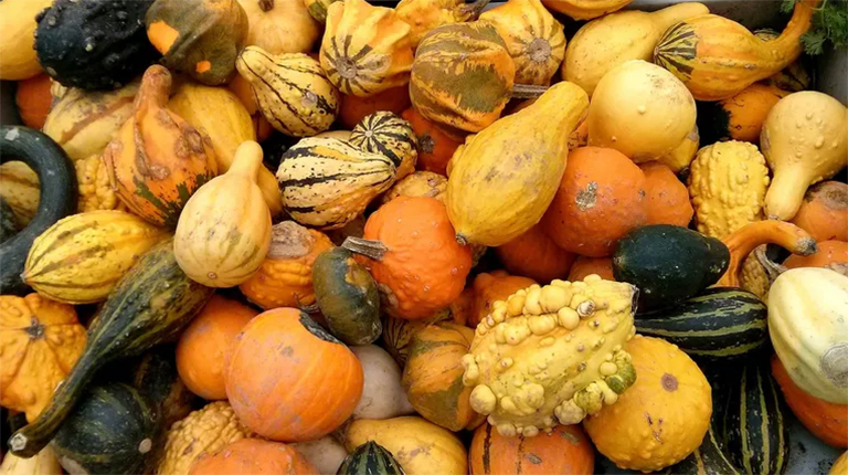 1609387200738219.jpg 1.jpg