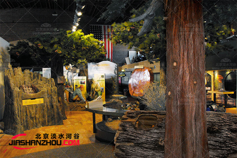 室內景觀樹.jpg 室內景觀樹