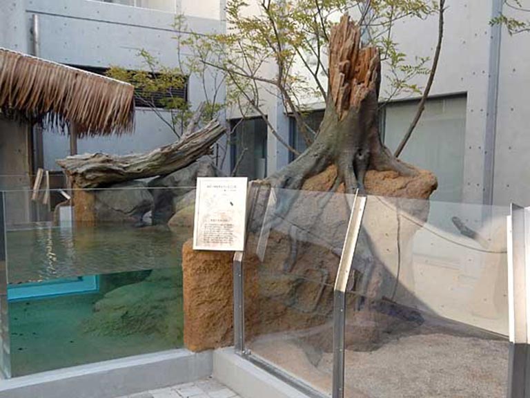 仿真樹(shù).jpeg 仿真樹(shù)