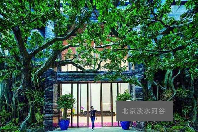 仿真榕樹.jpeg 仿真榕樹