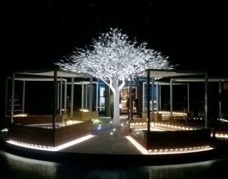 1612836925287795.jpg toh1.jpg