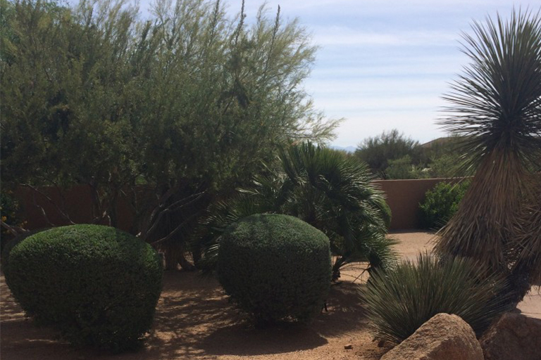 抗旱景觀.jpg 抗旱景觀