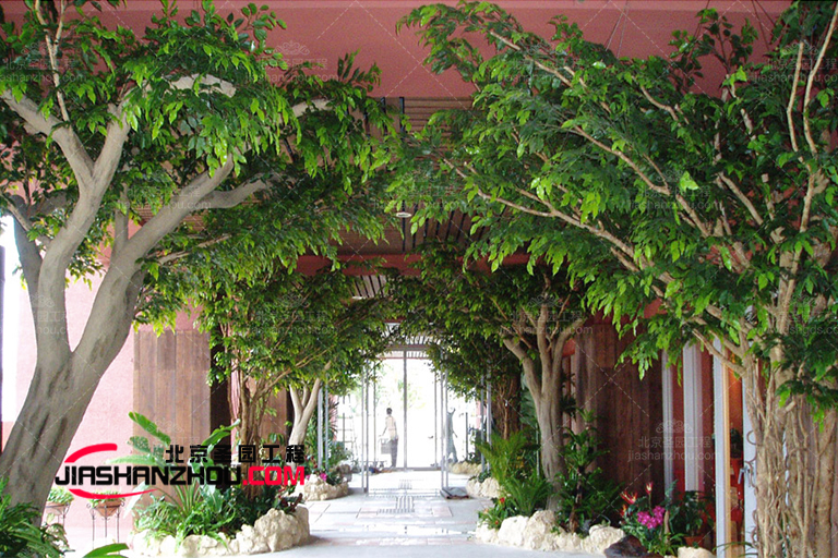 仿真樹.jpg 仿真樹