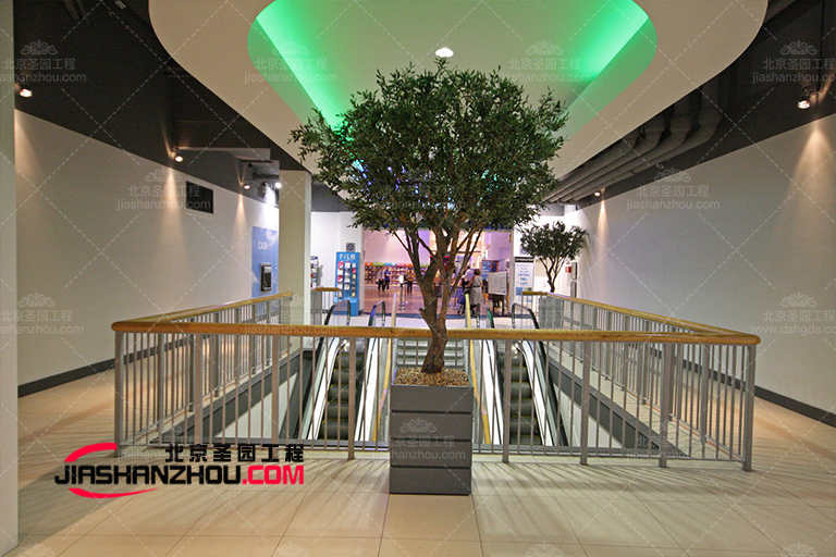 仿真樹.jpg 仿真樹