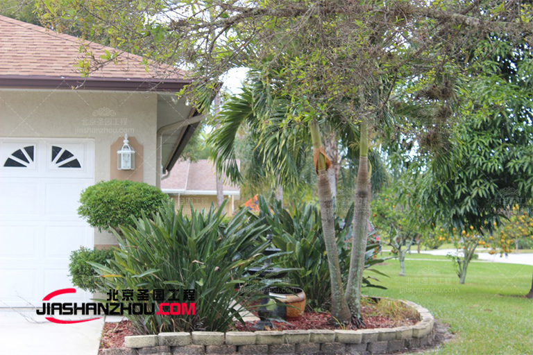 仿真樹.jpg 仿真樹