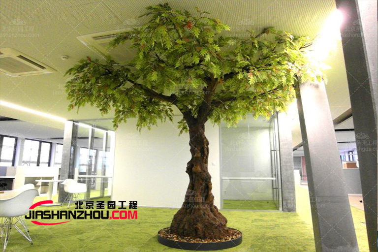 1629682100169633.jpg Kronenform-unkonventionell-olive15.jpg