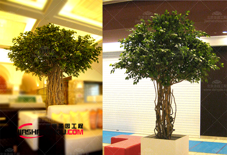 仿真樹.jpg 仿真樹