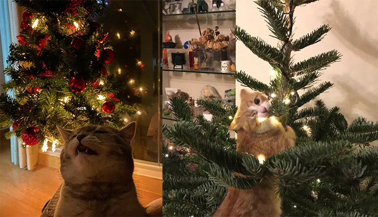 仿真樹.jpg 仿真樹