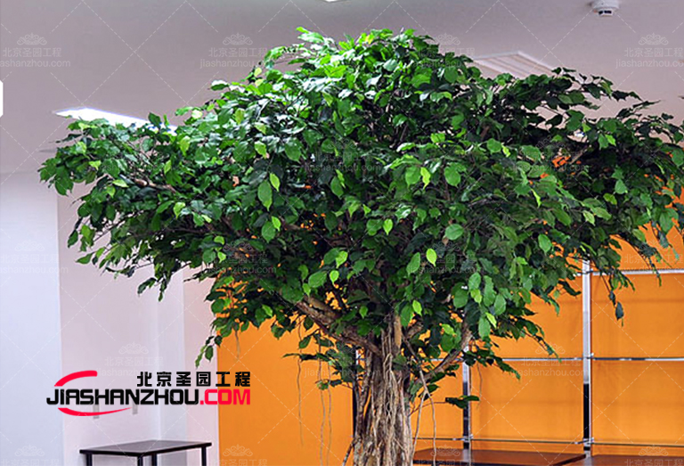 仿真樹.png 仿真樹