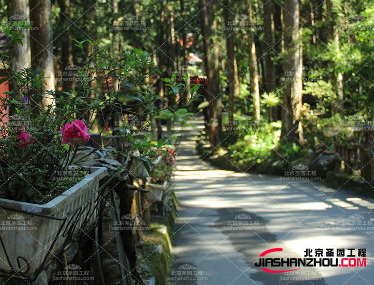 仿真樹.jpg 仿真樹