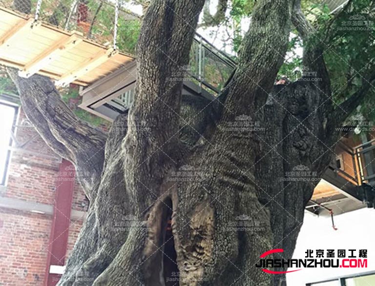 仿真樹.jpg 仿真樹