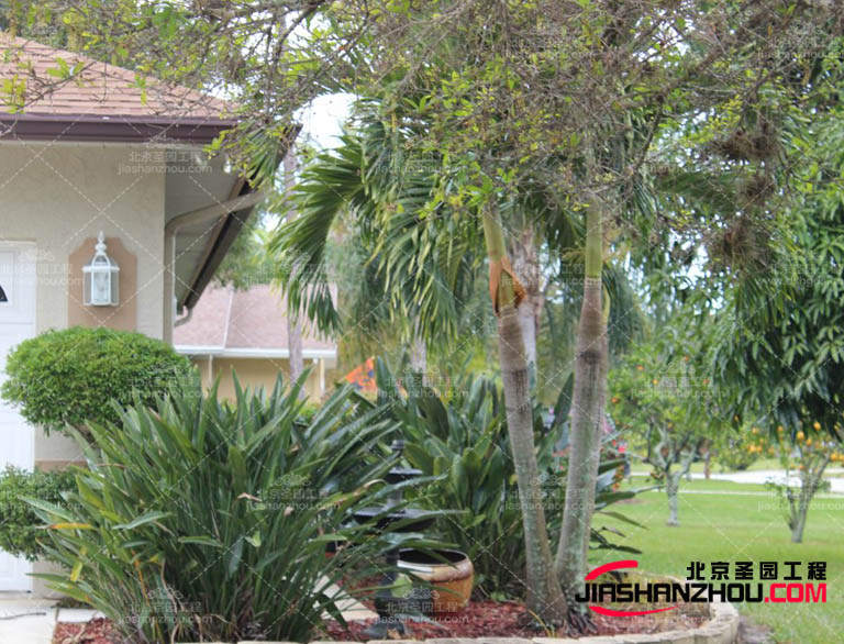 仿真樹.jpg 仿真樹