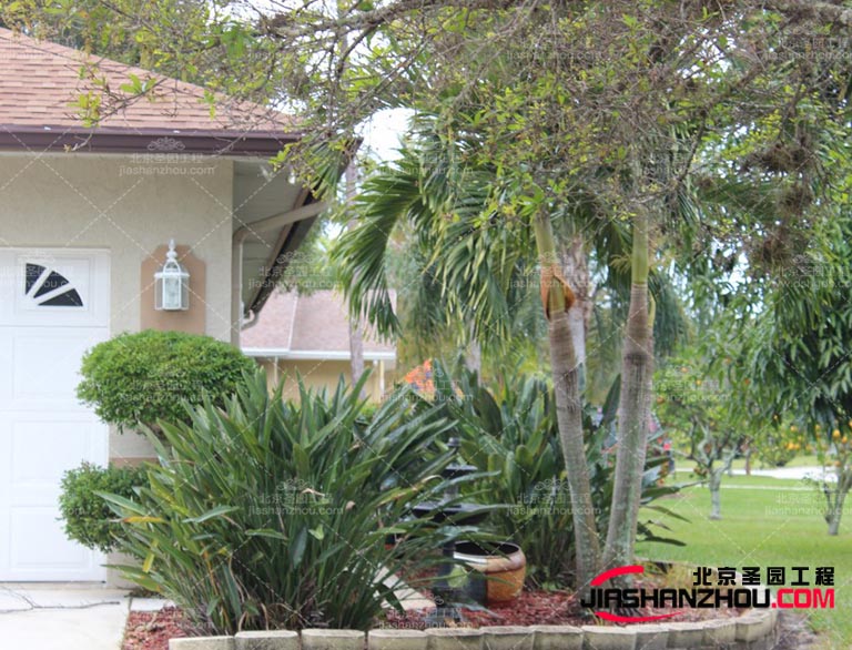 仿真樹.jpg 仿真樹