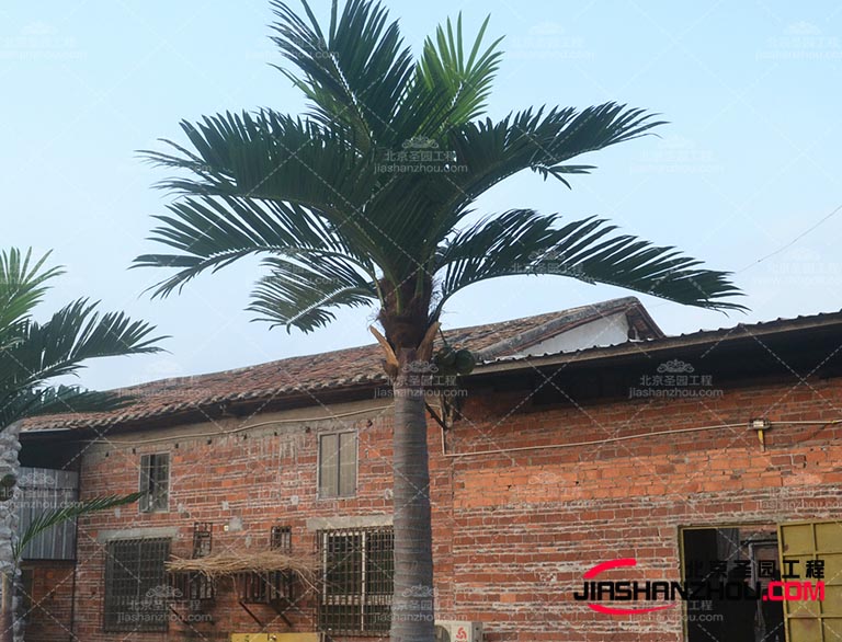 仿真樹.jpg 仿真樹