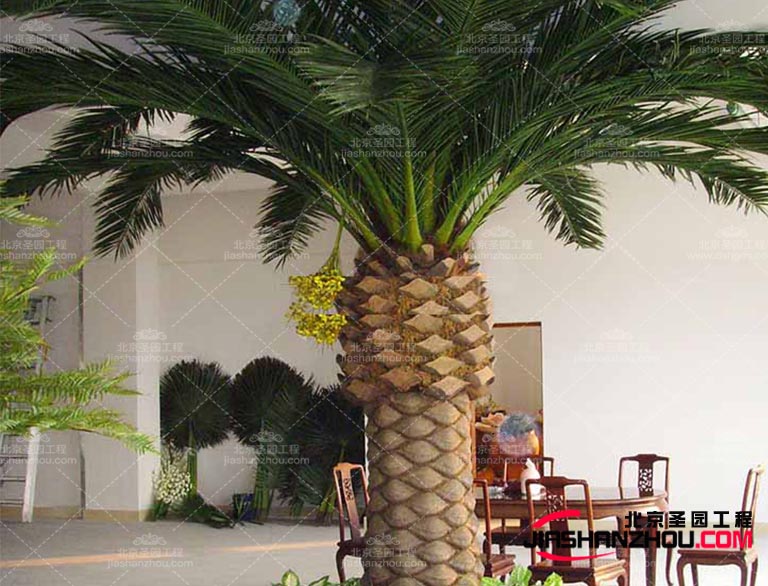 仿真樹.jpg 仿真樹