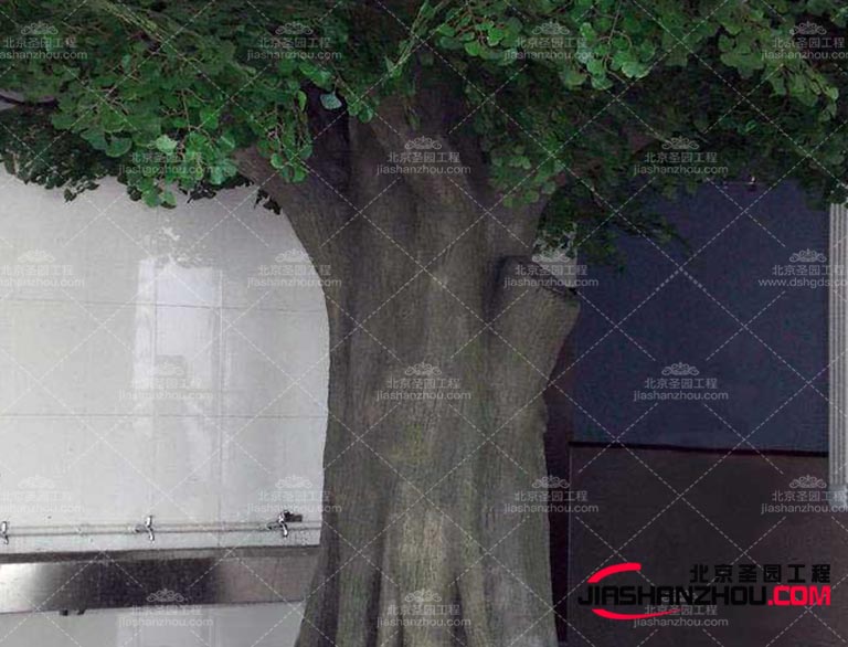 仿真樹.jpg 仿真樹