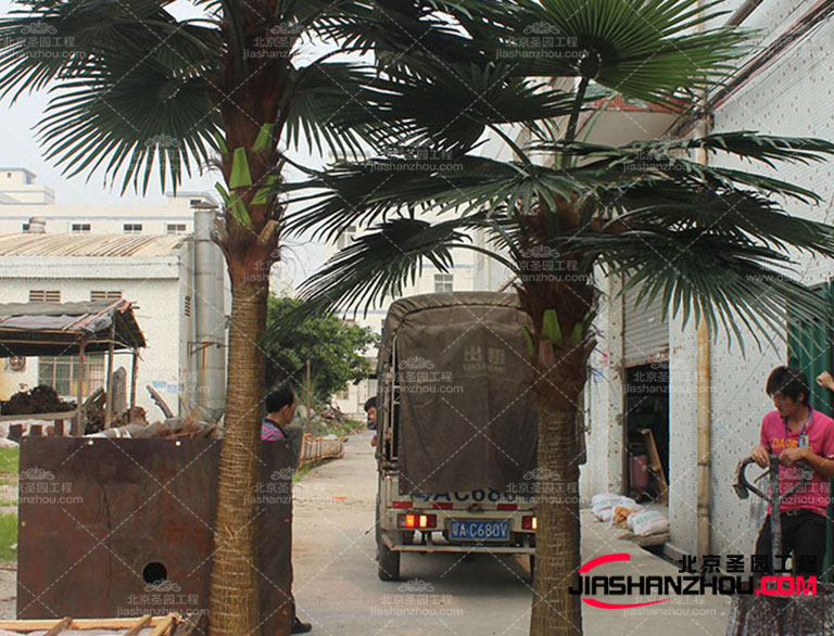 仿真樹.jpg 仿真樹