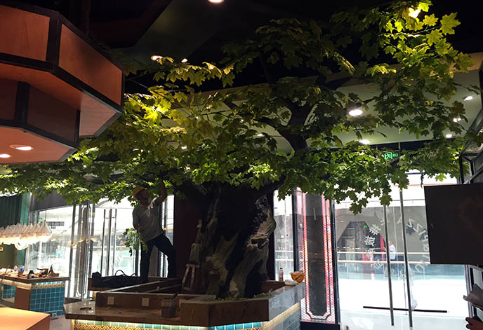 仿真樹.jpg 仿真樹.jpg