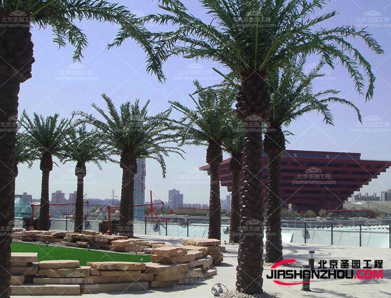 仿真樹.jpg 仿真樹.jpg